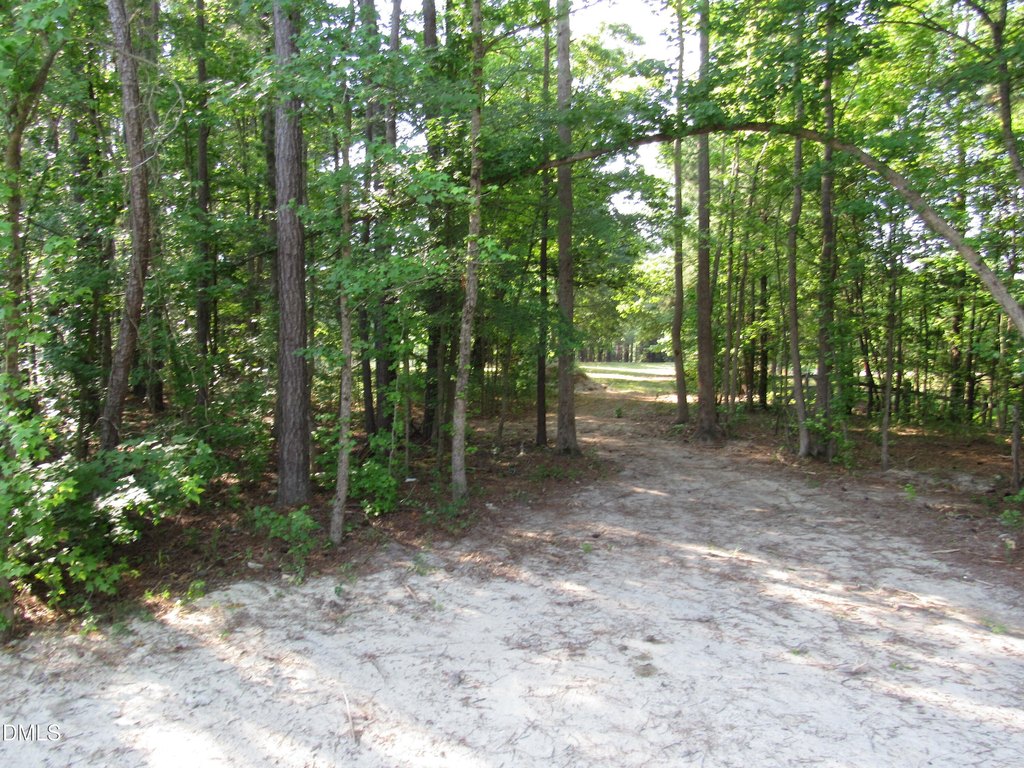 Picture 2