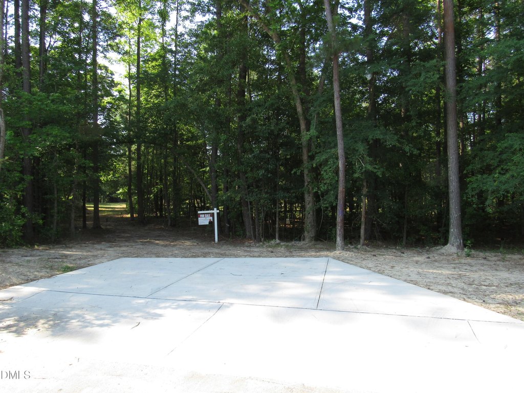 Picture 15