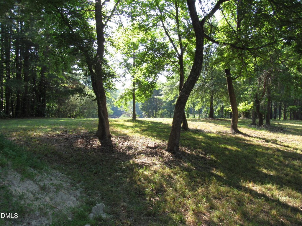 Picture 4