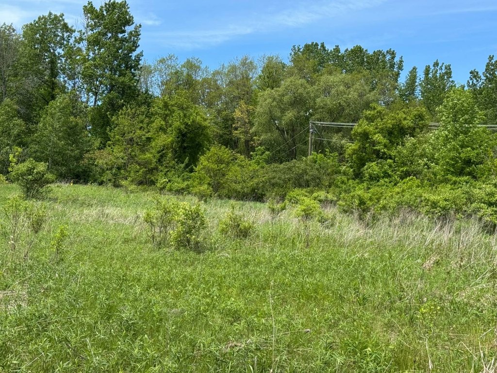 Picture 8