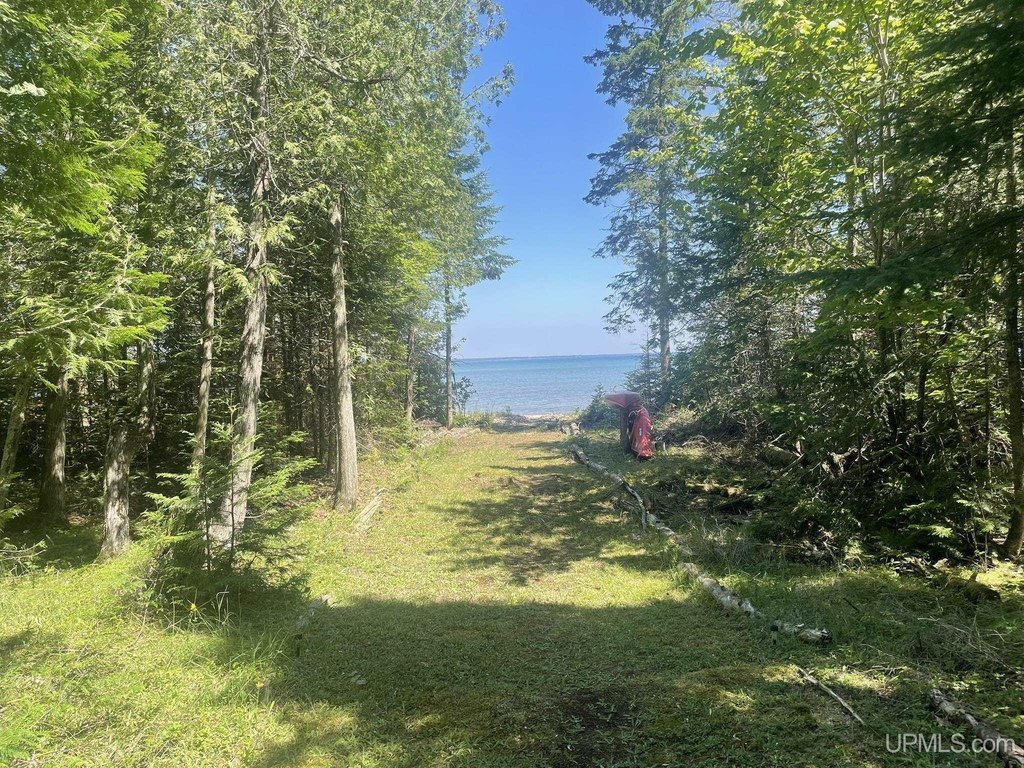 Picture 28