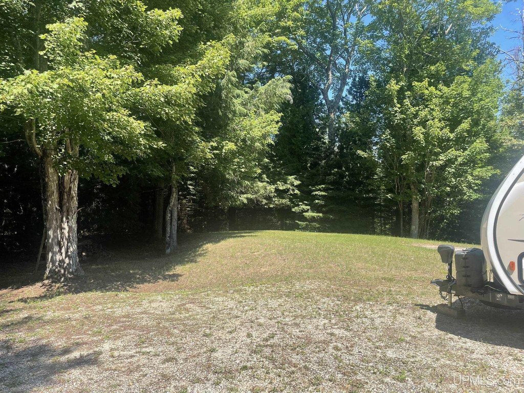 Picture 24