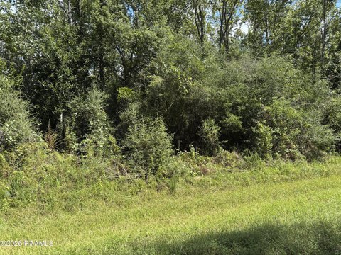 Land, Abbeville, LA