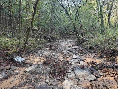 Bee Branch Land For Sale