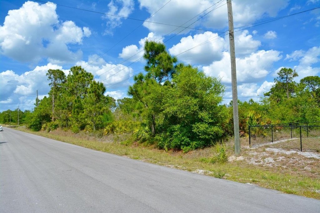 Picture 14