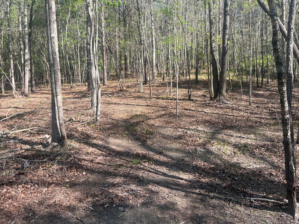 Picture 23
