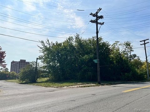Detroit Land Development Opportunity