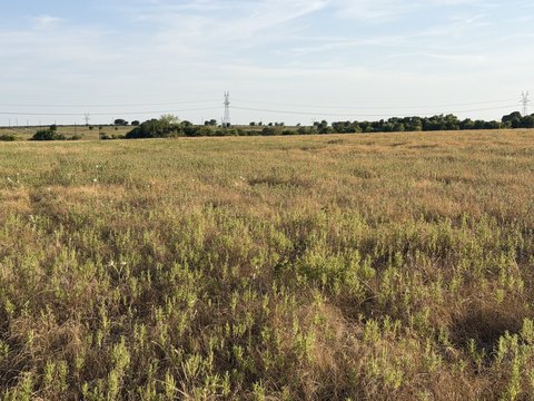 Residential Land Tract for Custom Build