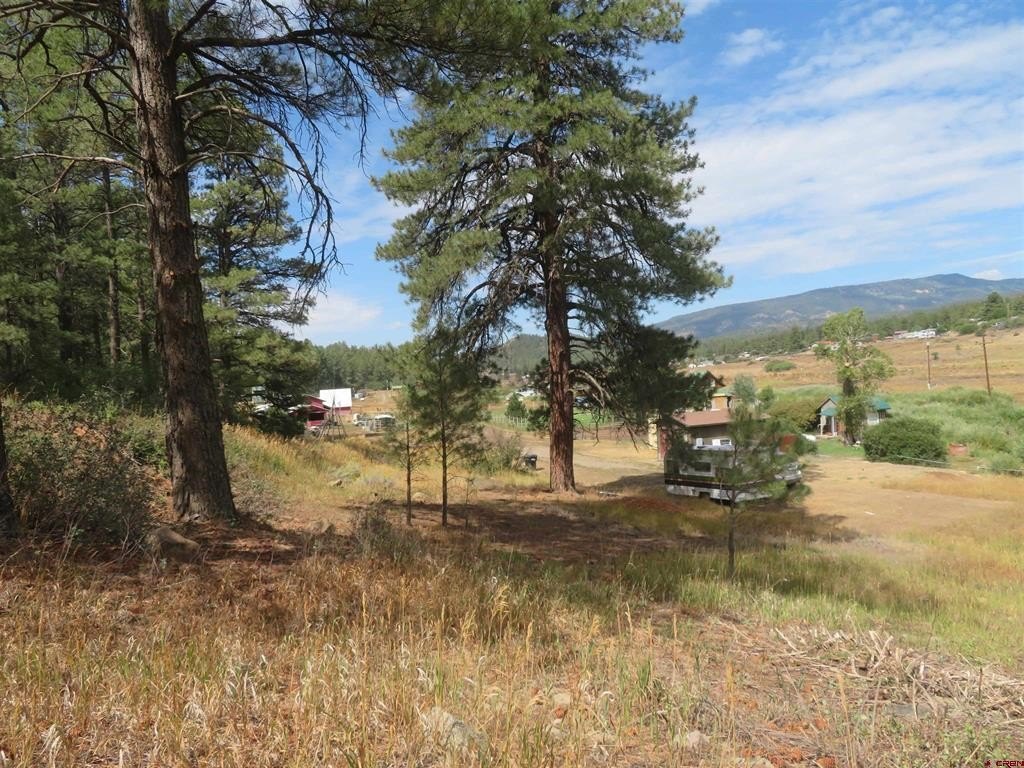 Picture 16