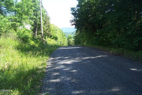 Newport Land with Road Frontage