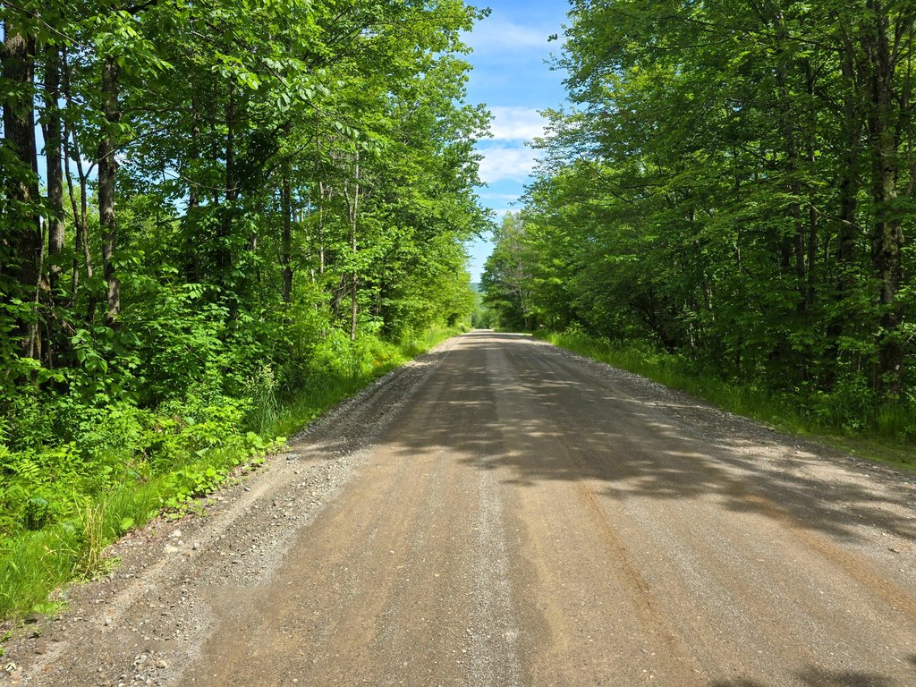 Picture 33