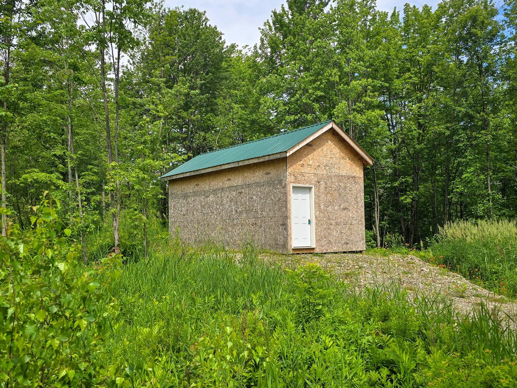 Picture 8