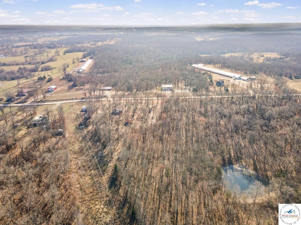 Picture 14