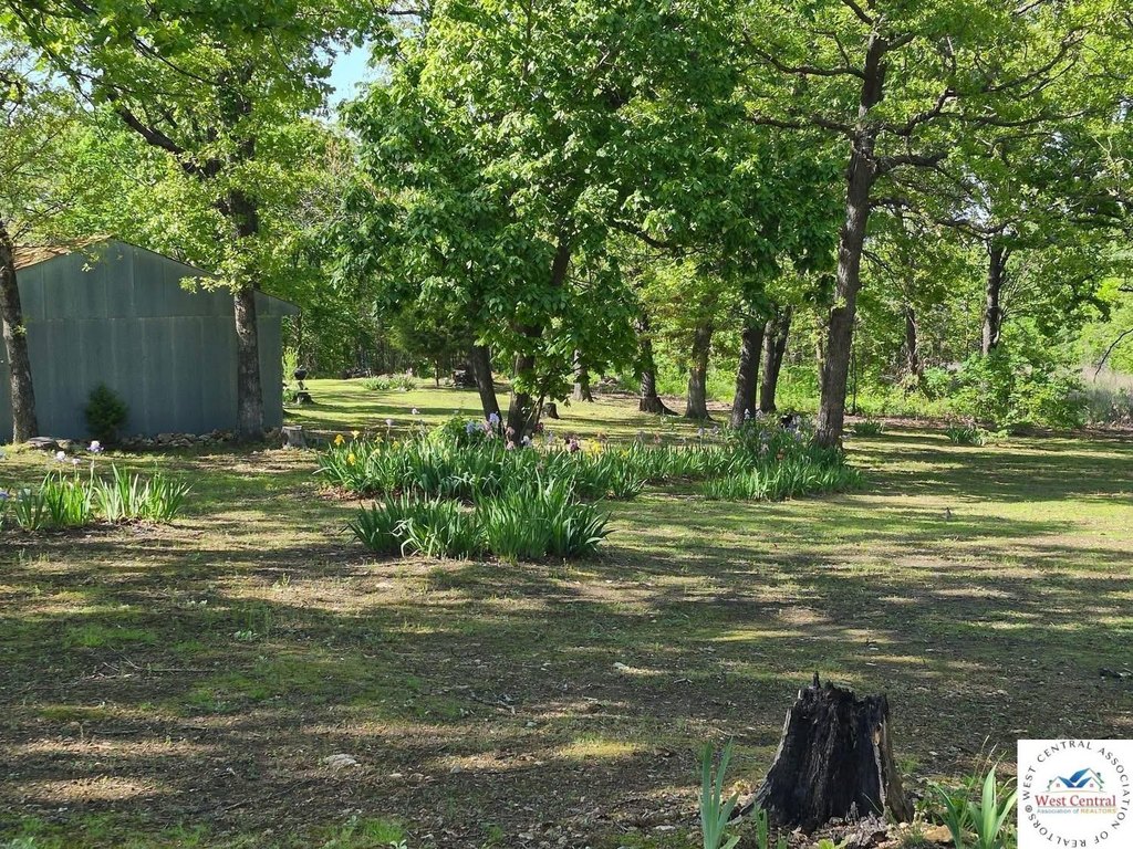 Picture 27