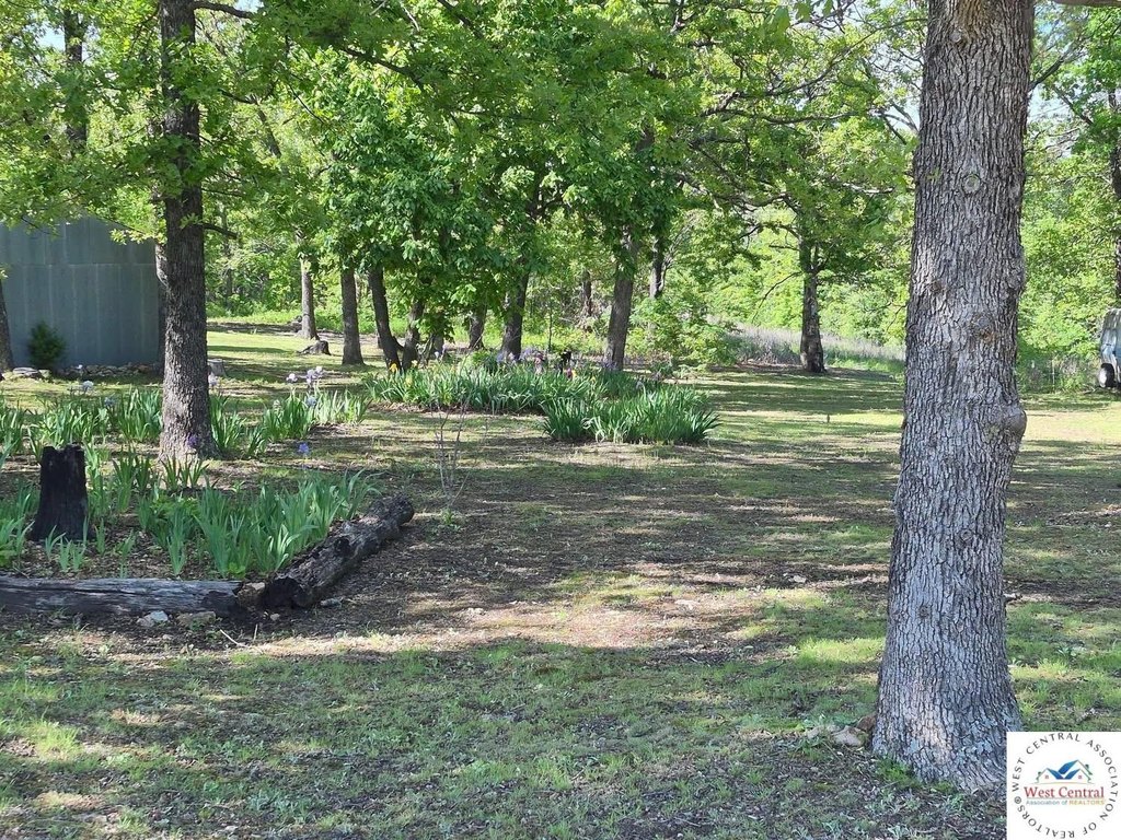 Picture 29