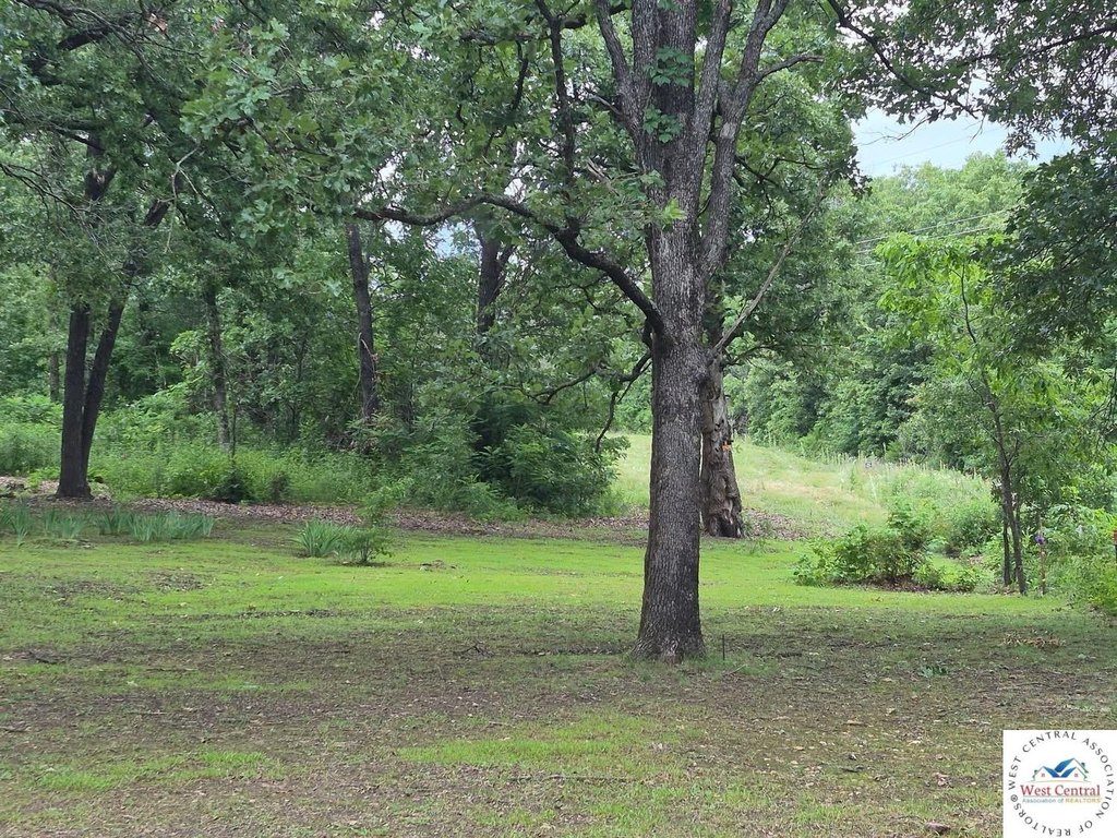 Picture 25