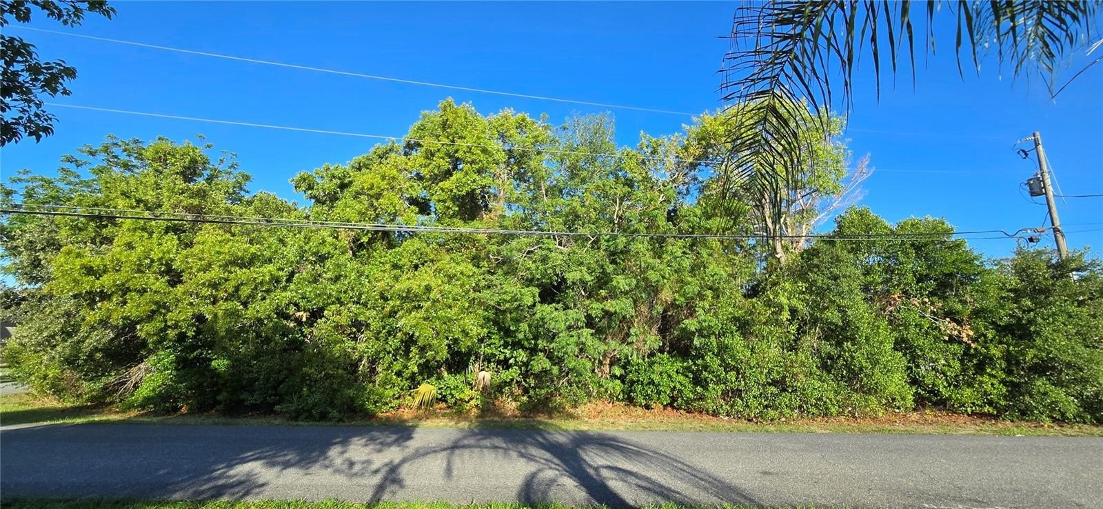 Corner Lot in Spring Hill