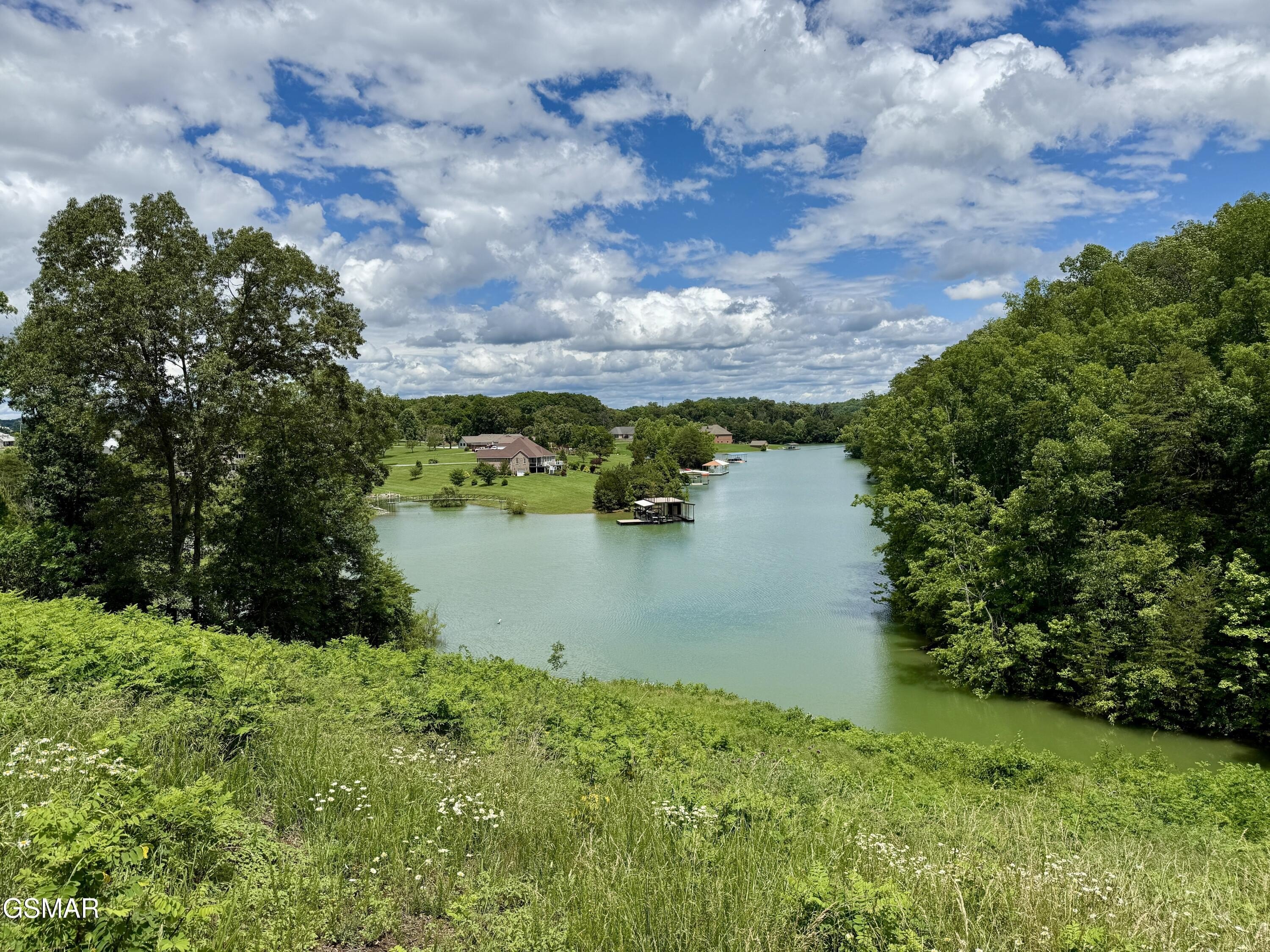 Douglas Lake Waterfront Land Opportunity