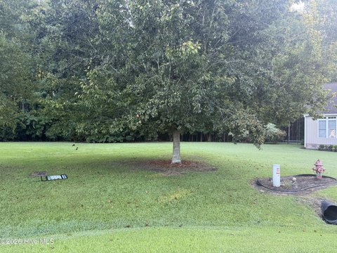 Land, Chocowinity, NC