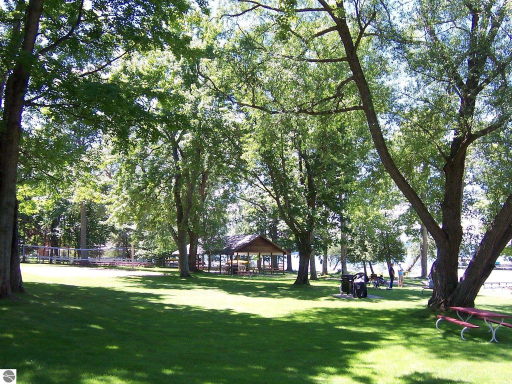 Picture 15