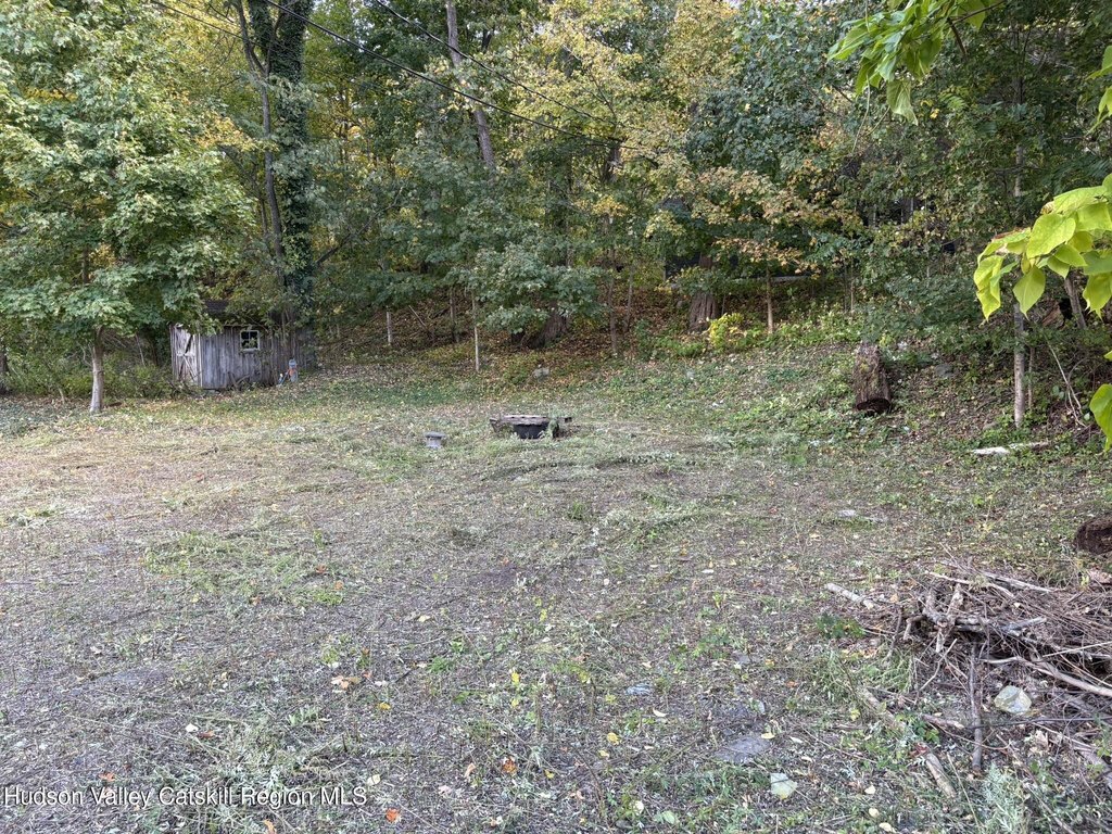 Picture 4