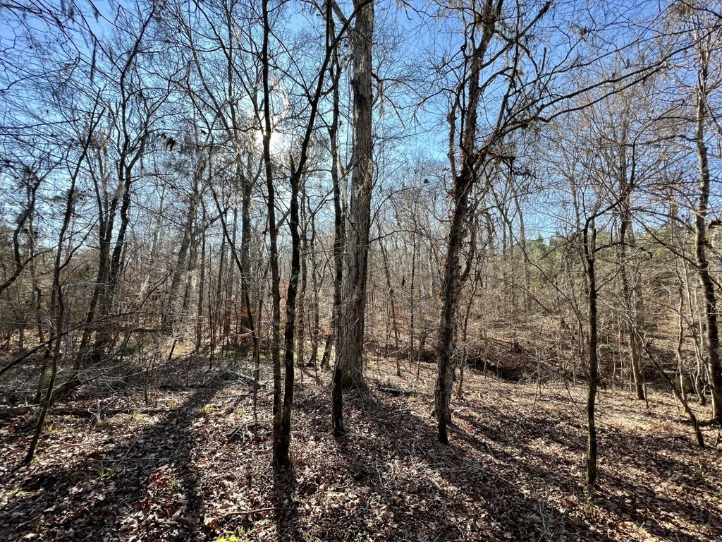 Picture 38
