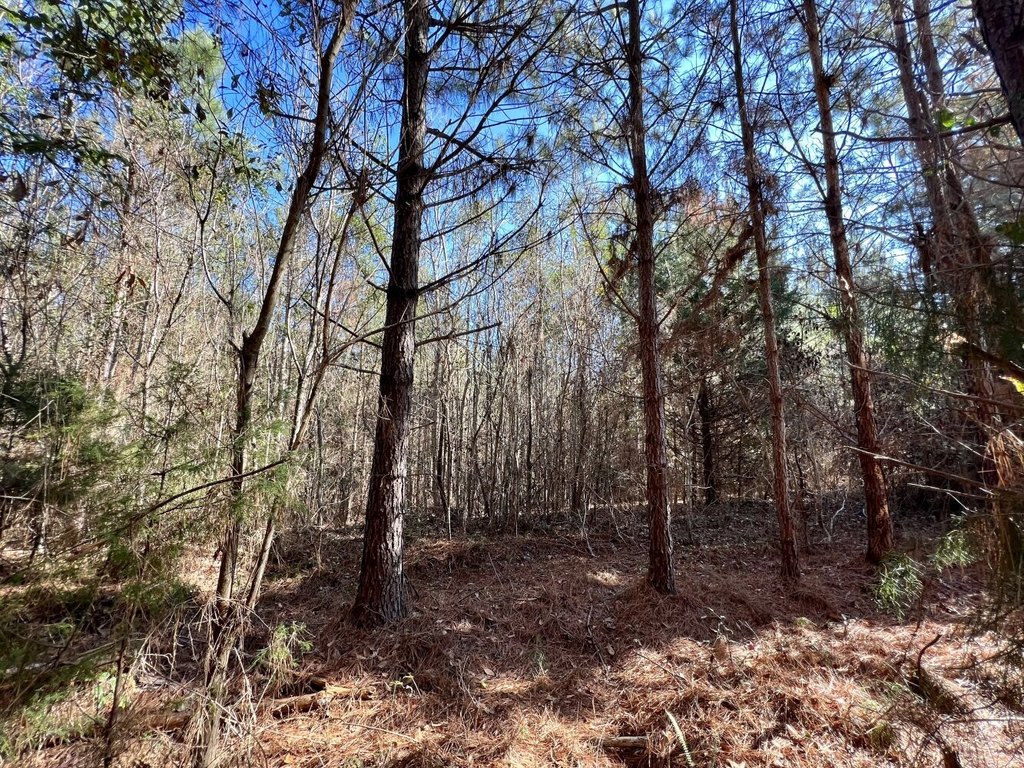 Picture 18