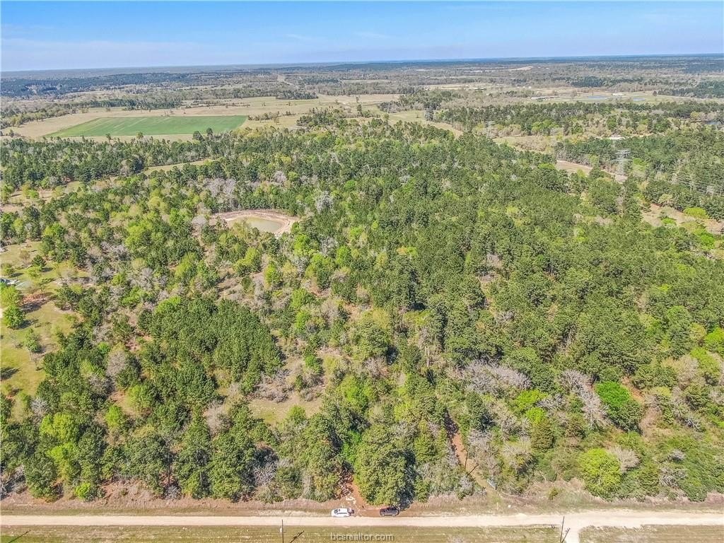 Versatile Wooded Tract with Pond
