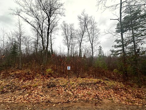 Land O'Lakes Acreage for Sale