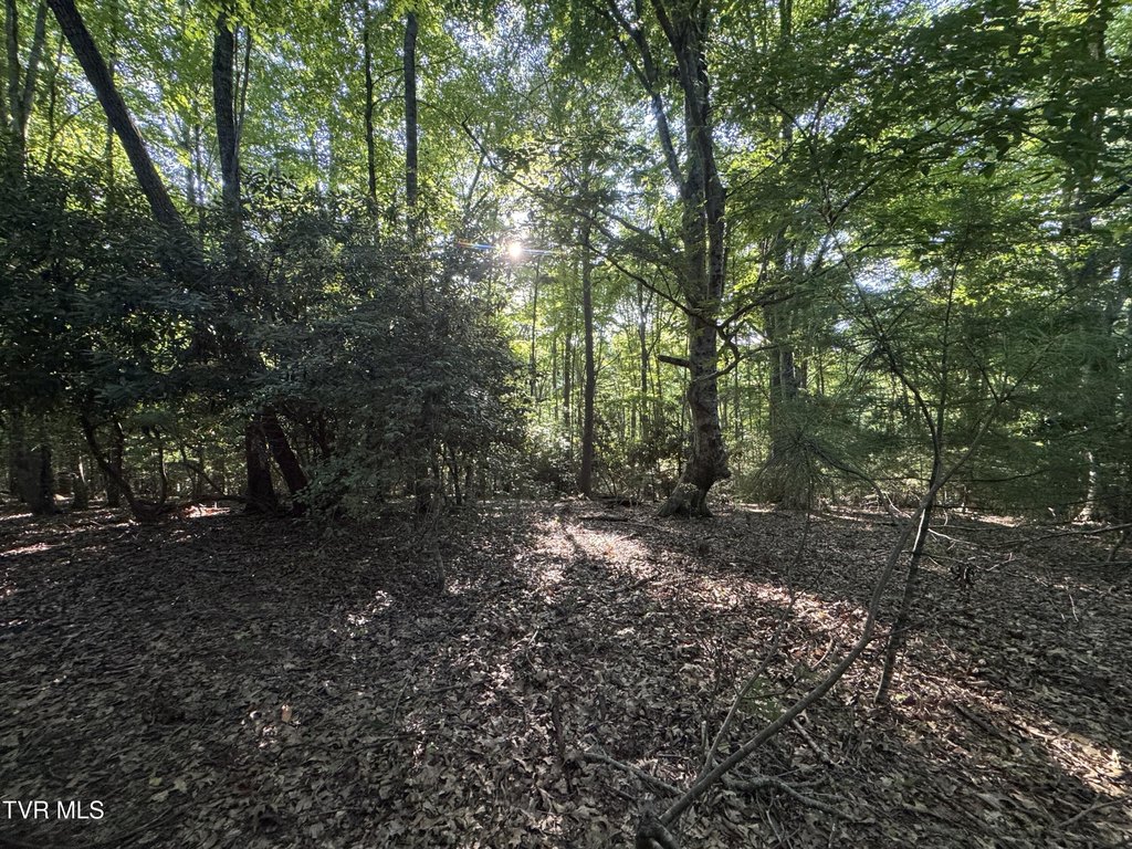 Picture 28