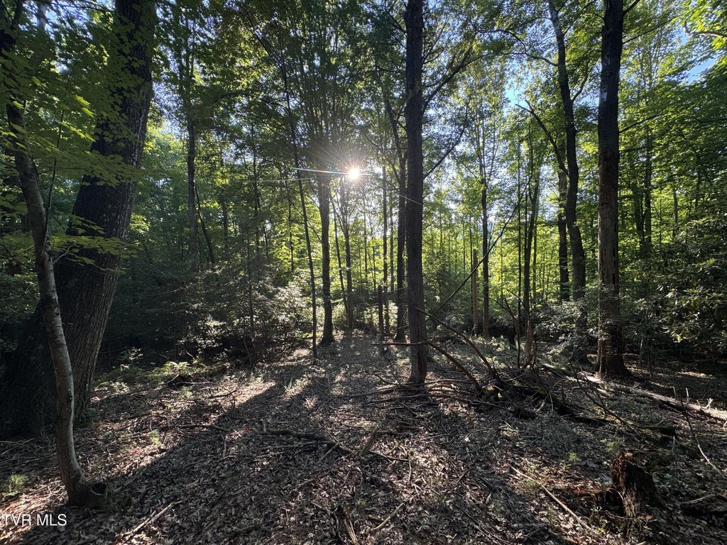 Picture 29