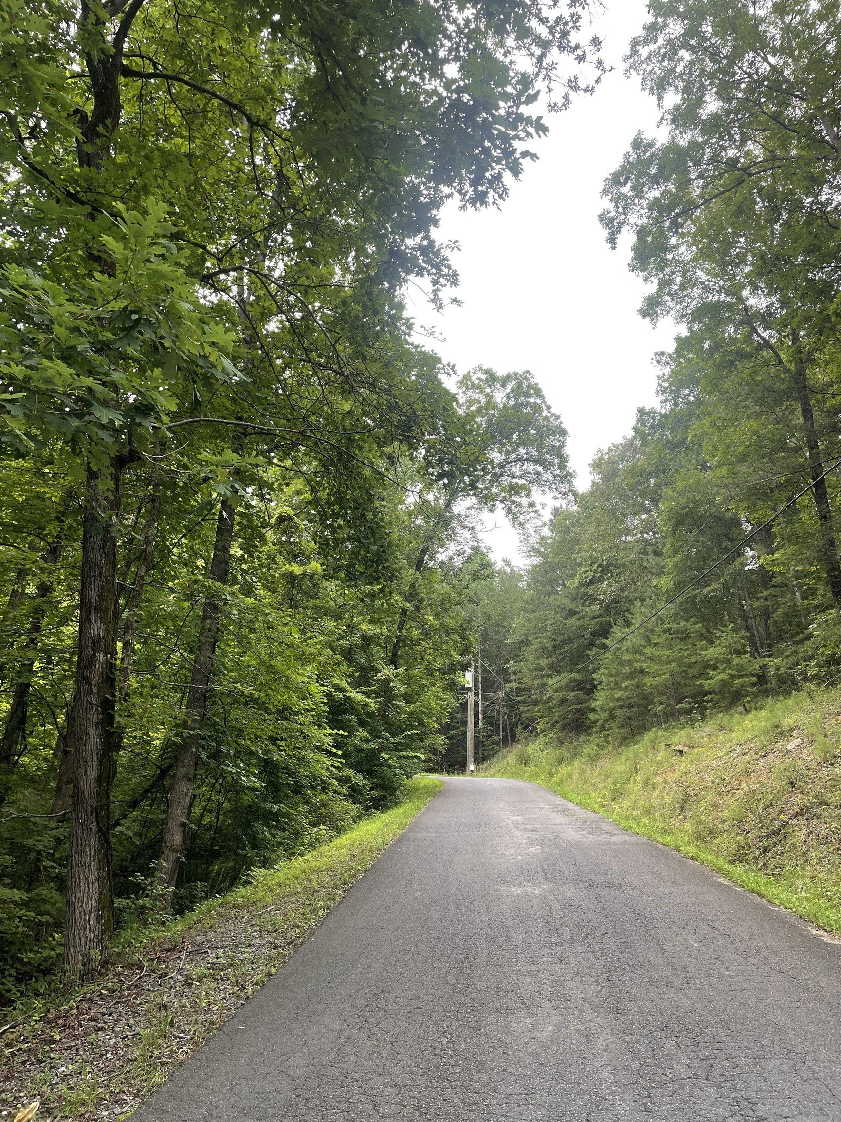 Ranger, GA Secluded Lot