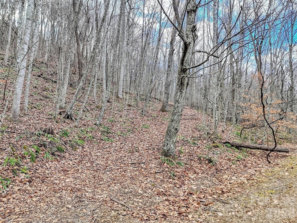 Picture 7
