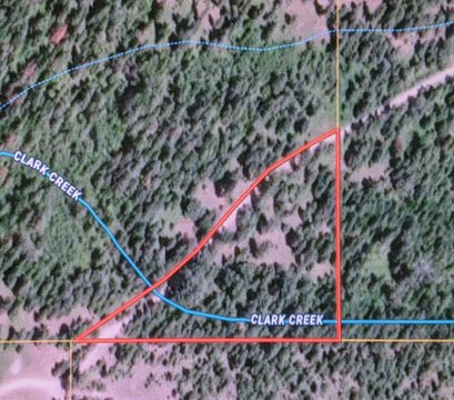 Plains, MT Wooded Land