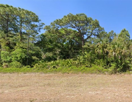 Vacant Lot in Lehigh Acres