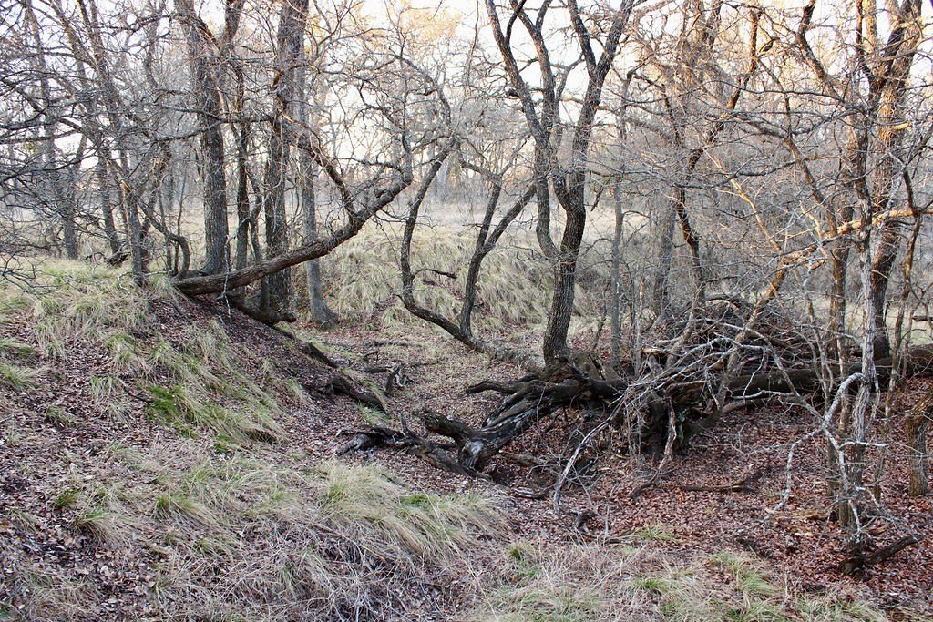 Picture 19