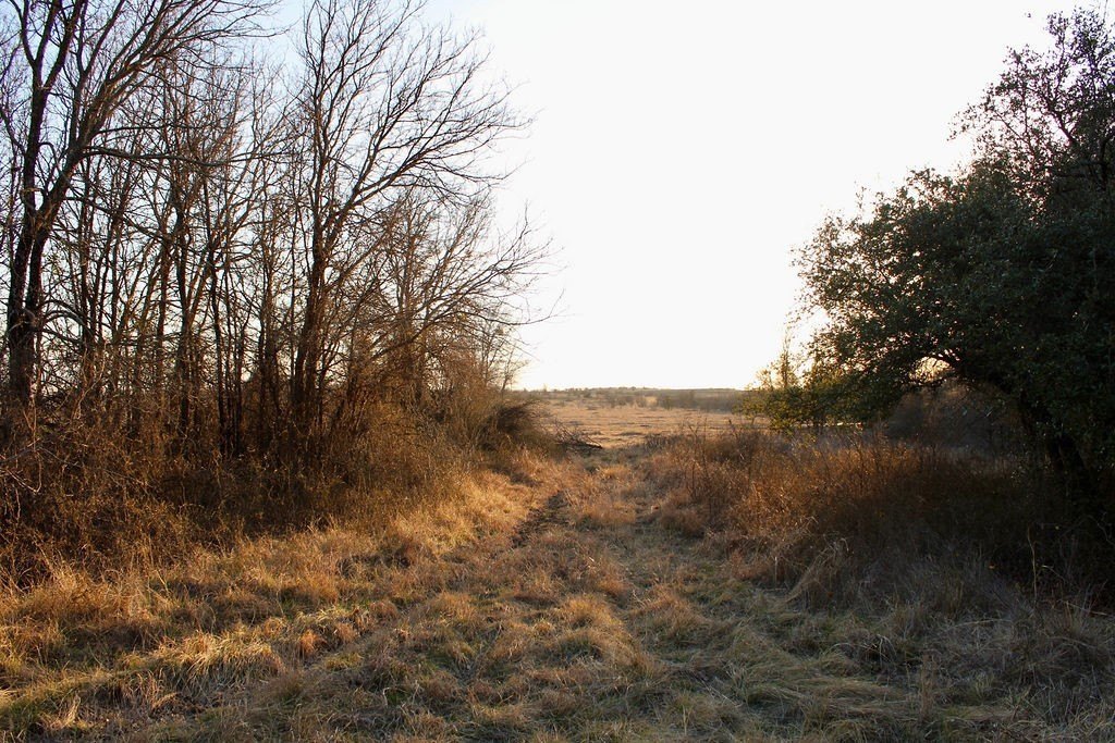 Picture 24