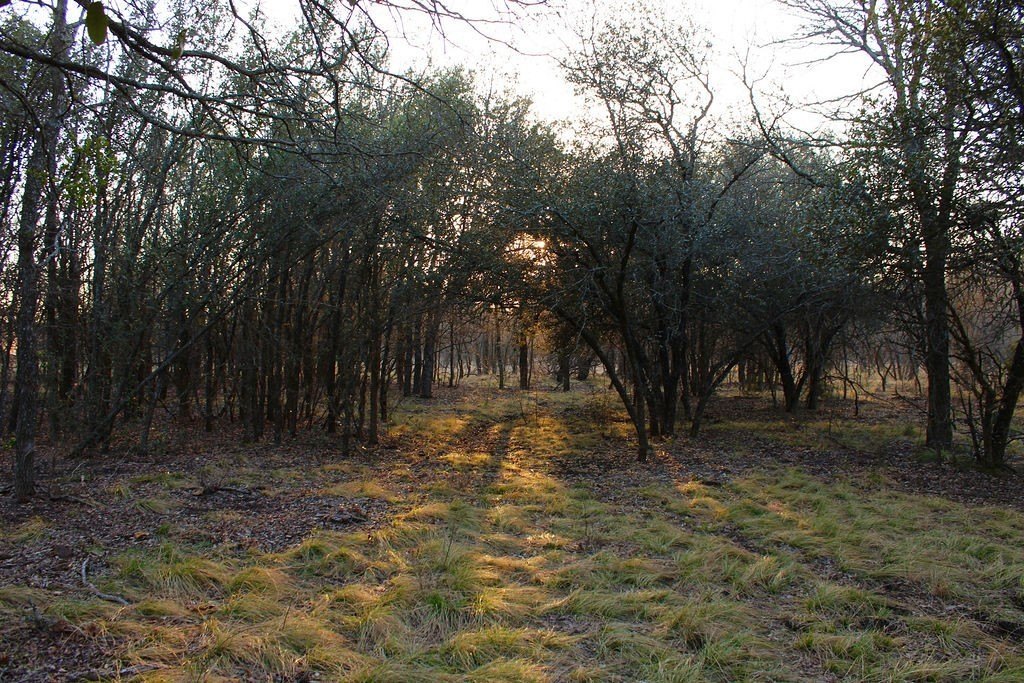 Picture 22