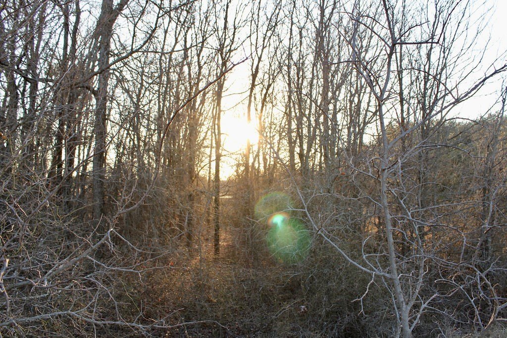Picture 9