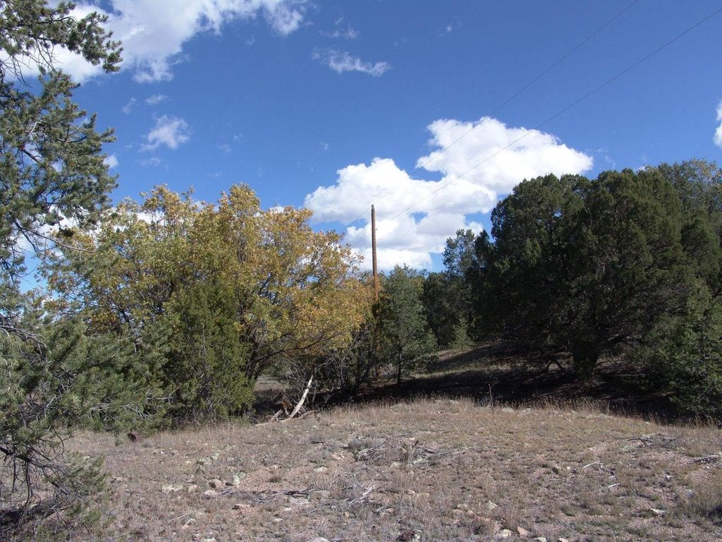 Picture 6