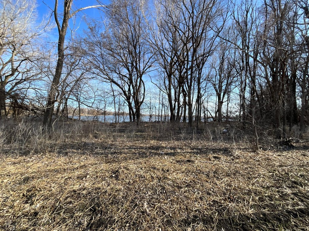 Picture 18