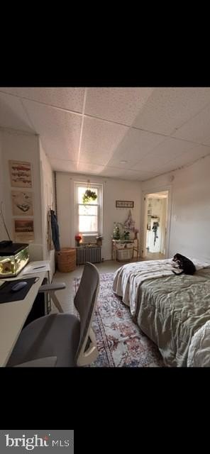 Picture 11