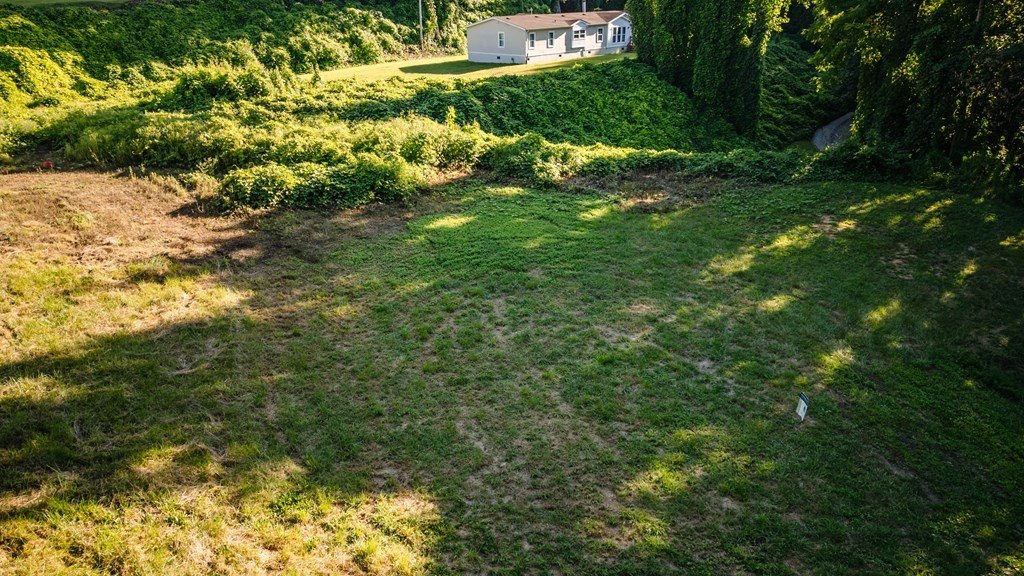 Picture 27