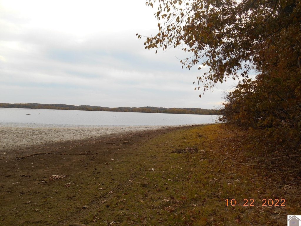 Picture 9