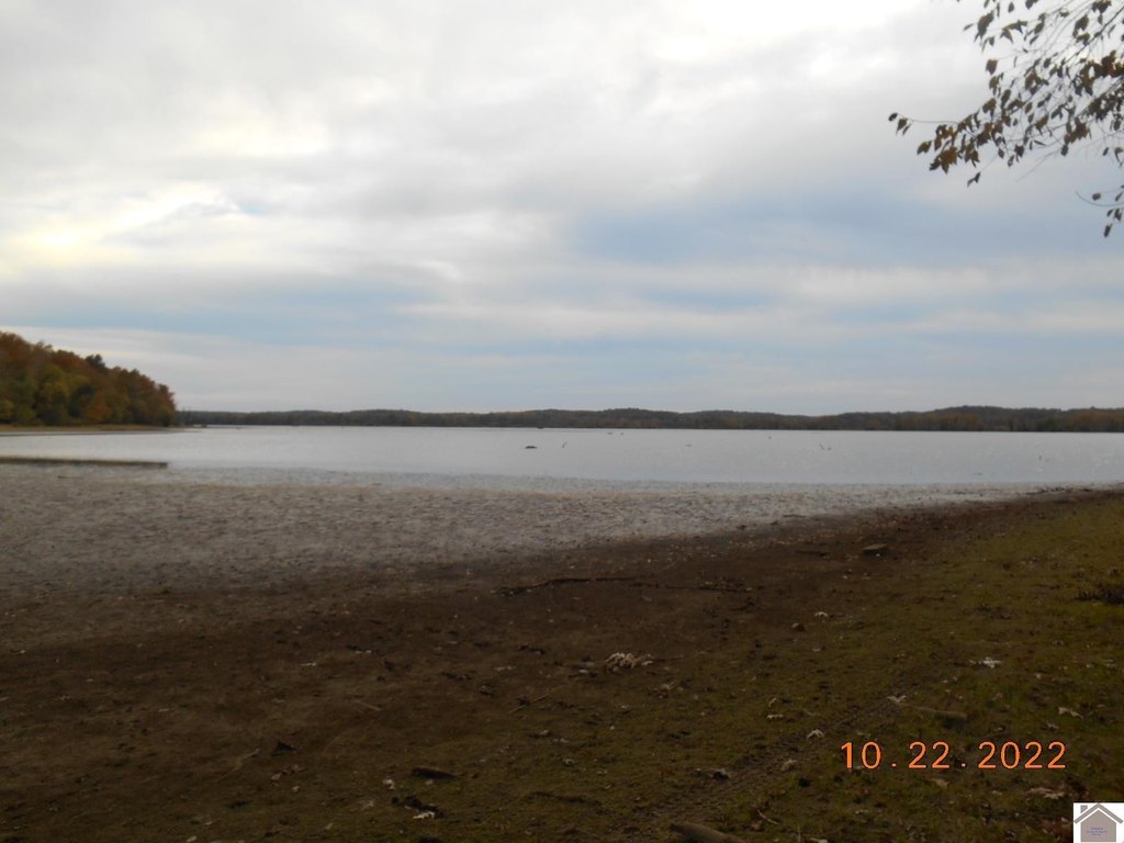 Picture 7