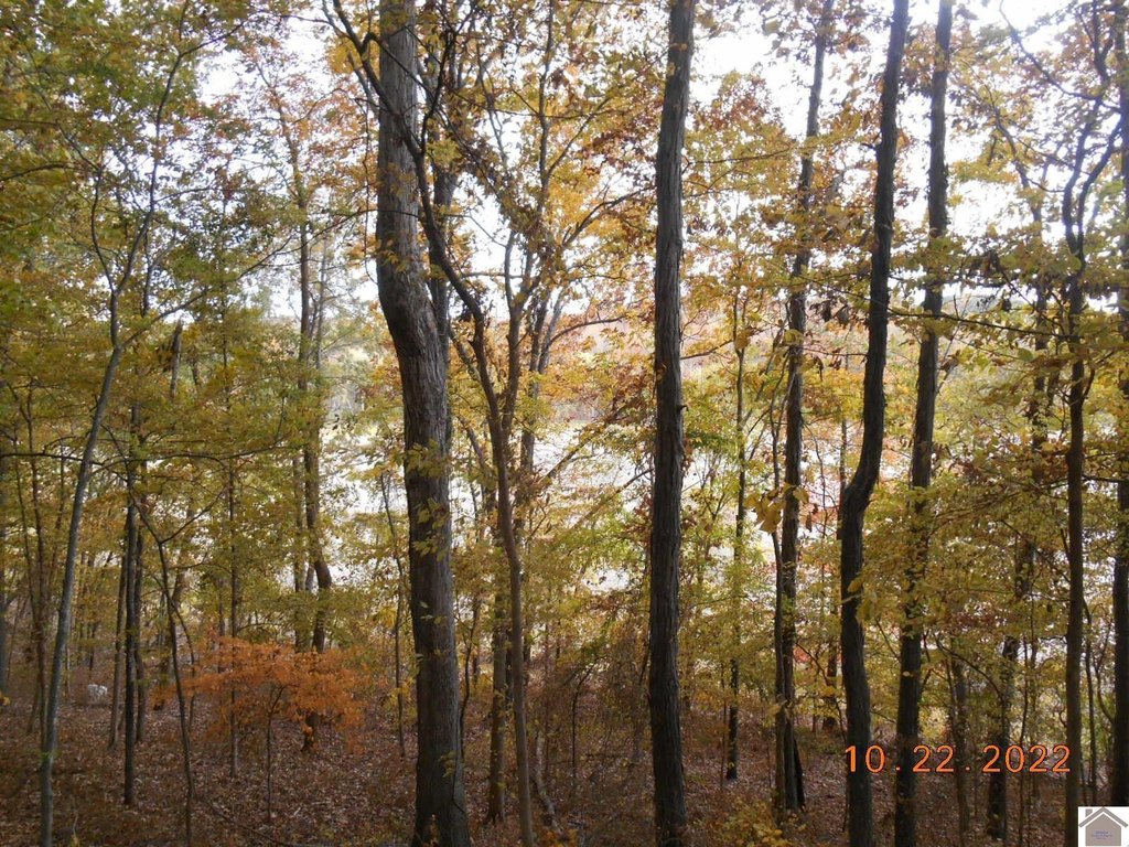 Picture 10