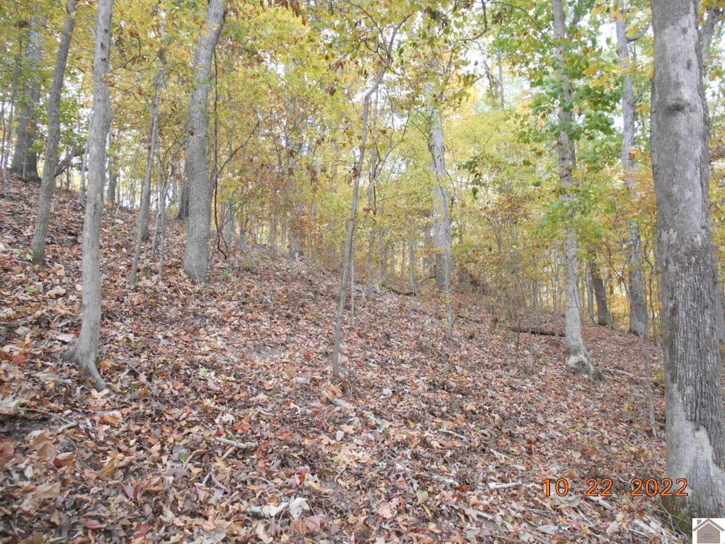 Picture 14