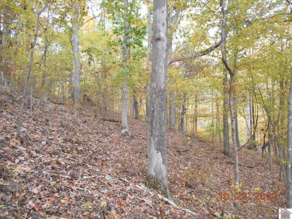 Picture 13