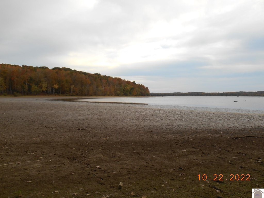 Picture 8