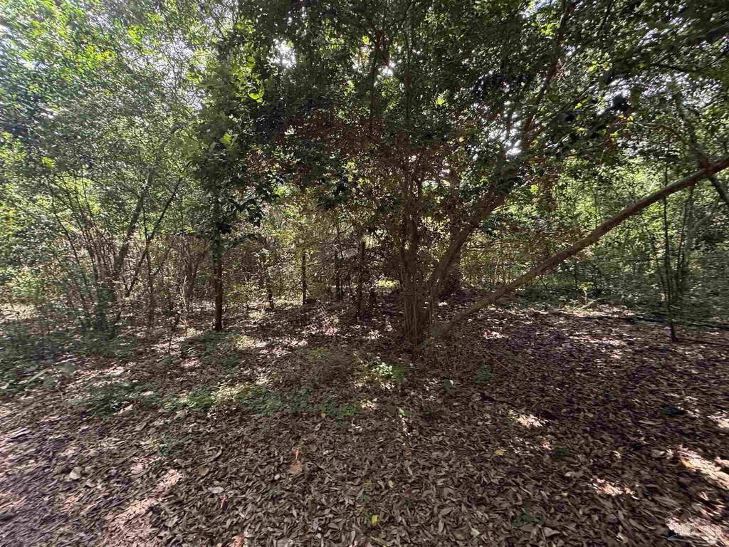 Picture 16
